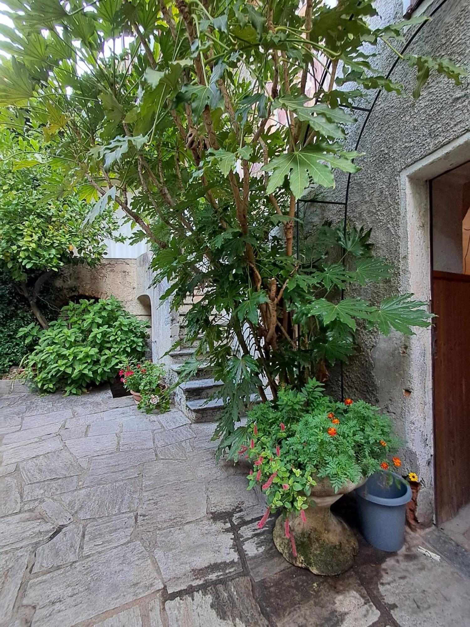 Bed and Breakfast Nonna Anita Castelveccana Exterior foto